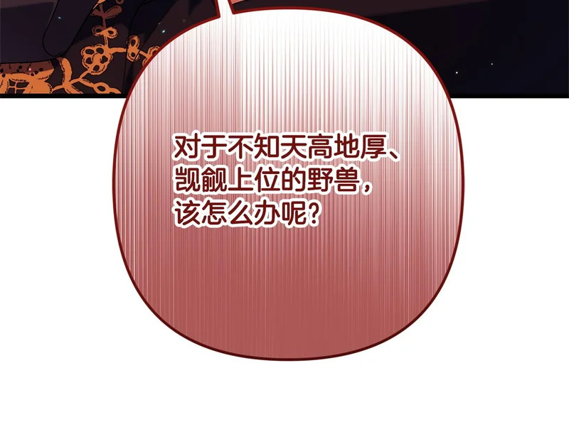 第64话 流星雨 第202页