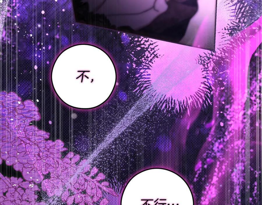 第39话 专属护卫骑士 第216页