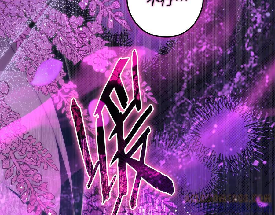 第39话 专属护卫骑士 第217页