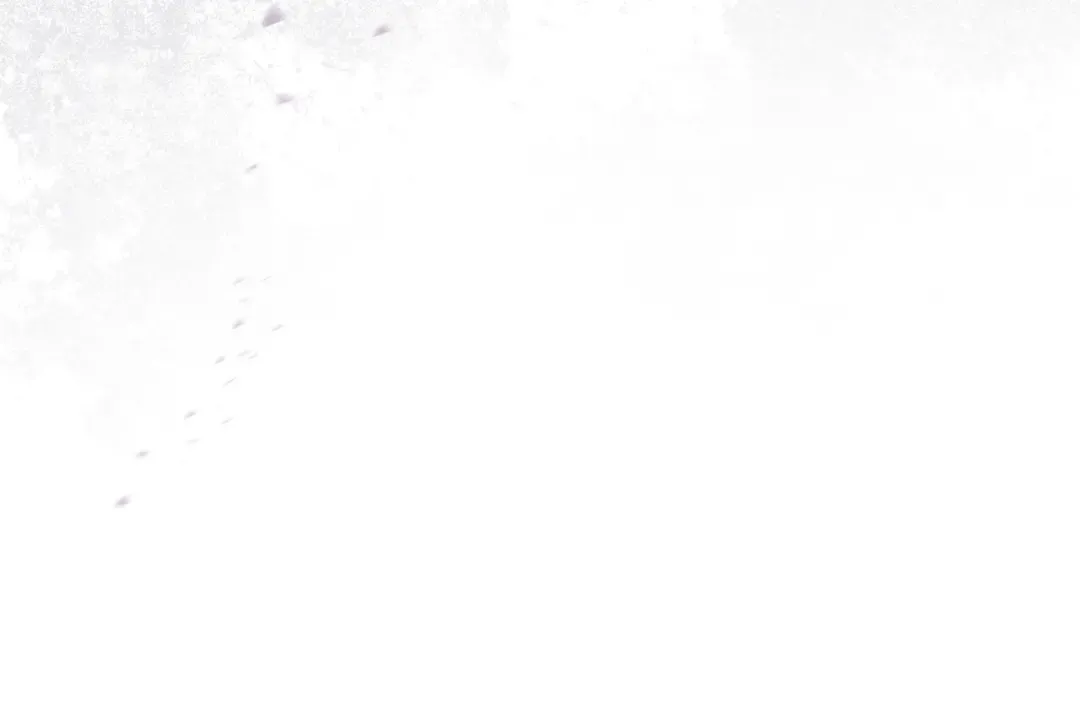 第54话 生日祝福 第151页