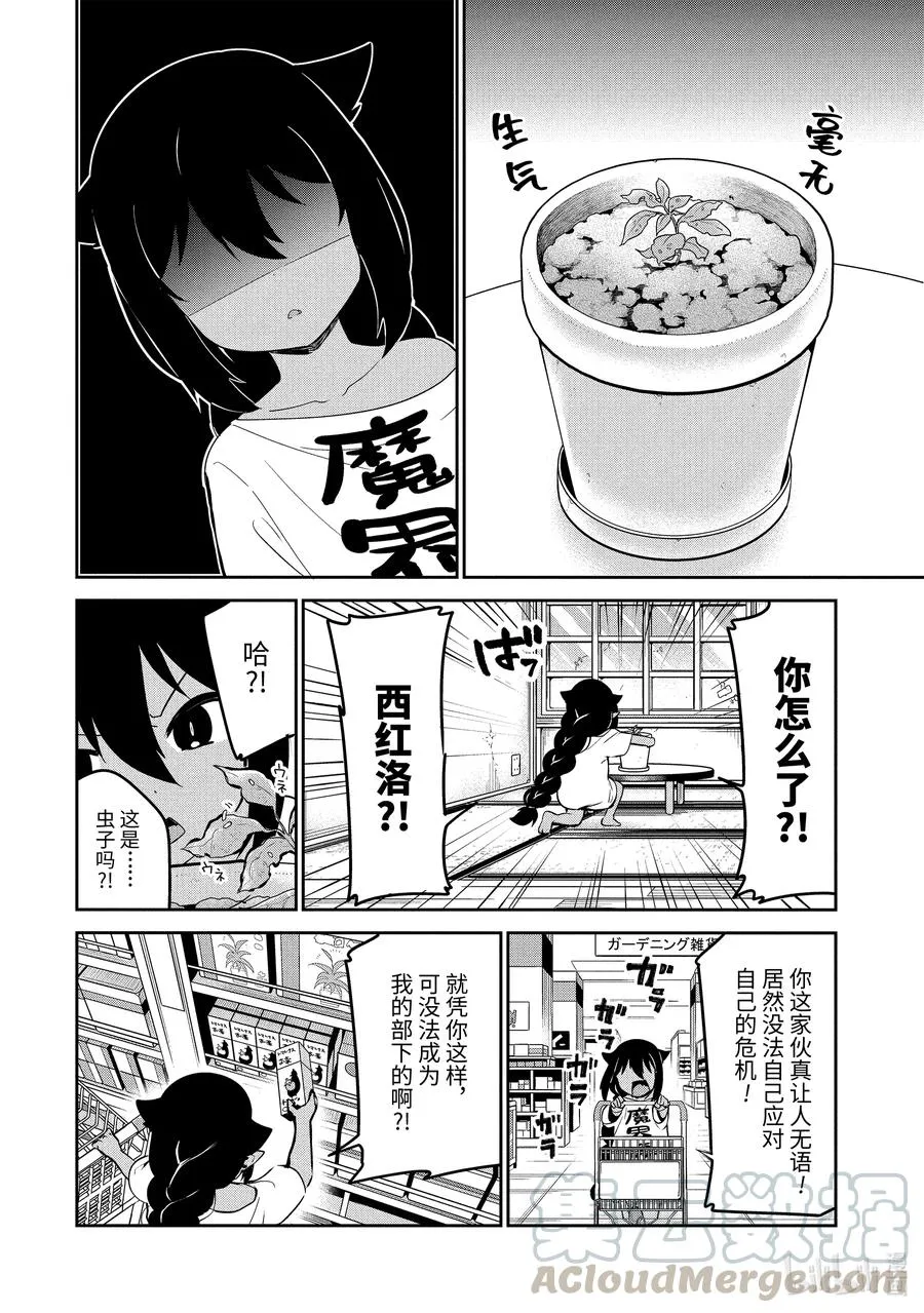 33 迦希大人与西红柿 第17页