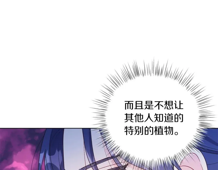 第19话 社交界之花 第50页