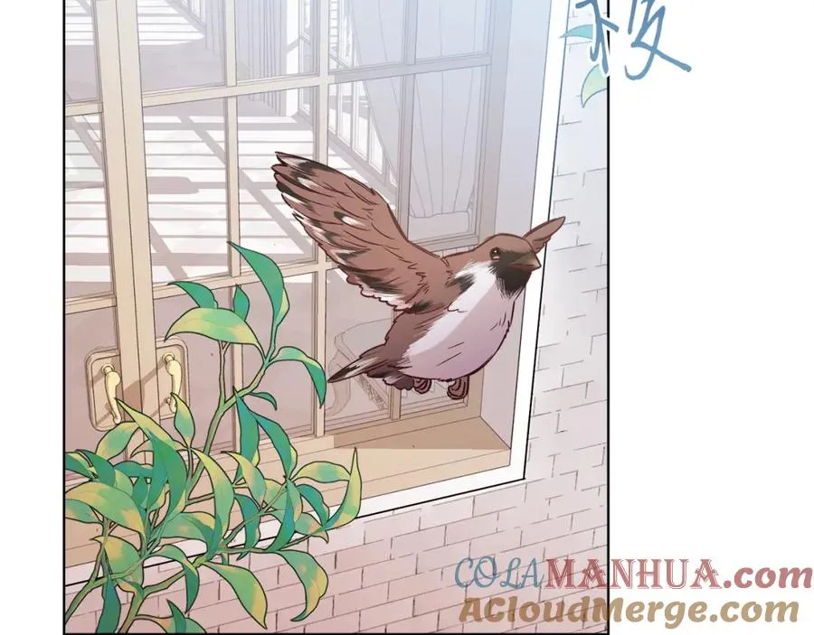 第19话 社交界之花 第169页