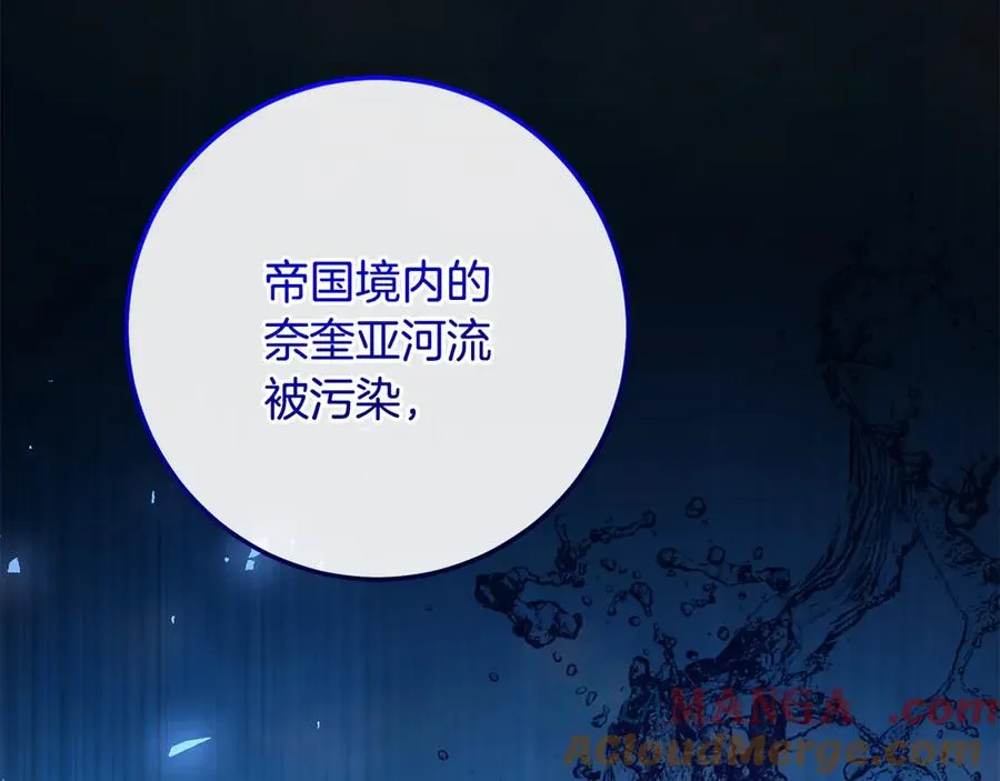 第65话 请求并肩作战 第177页