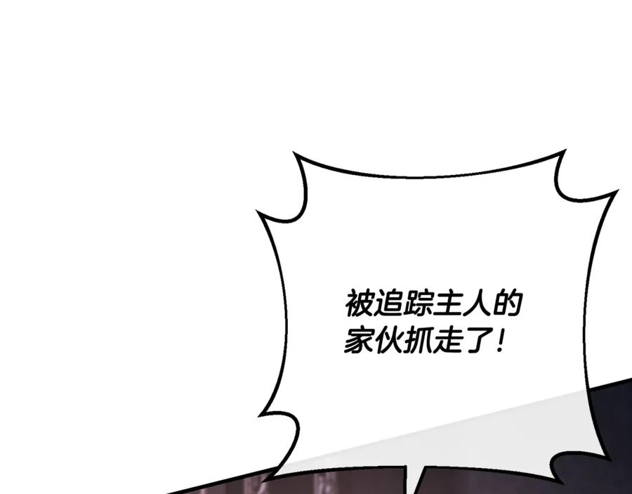 第70话 新任魔塔主 第208页