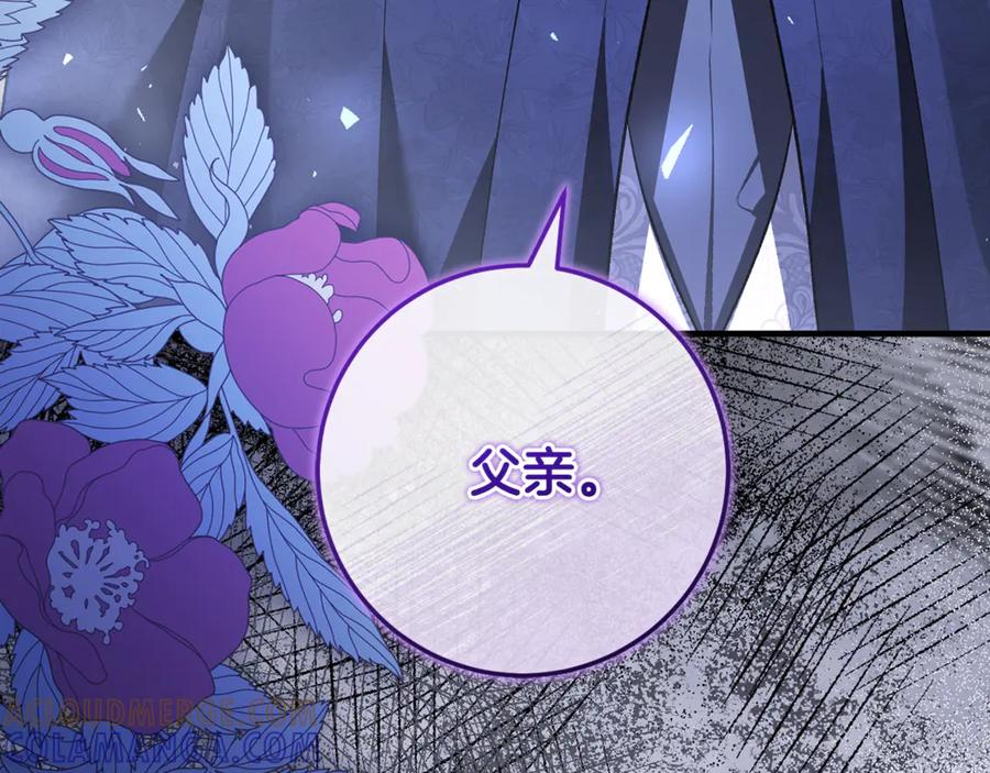 第77话 制定作战计划 第217页