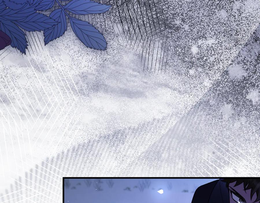 第77话 制定作战计划 第218页