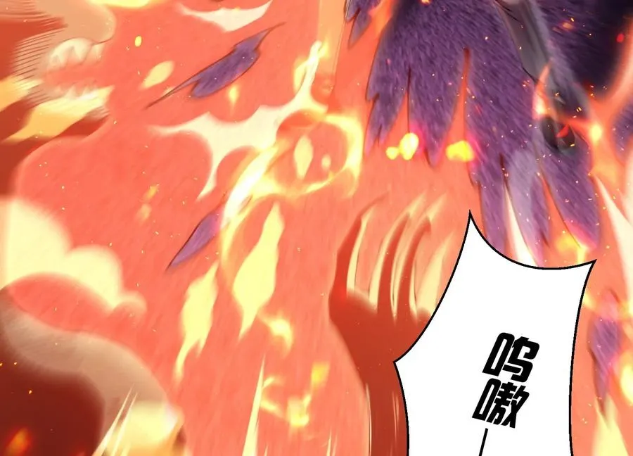 追踪 第71页