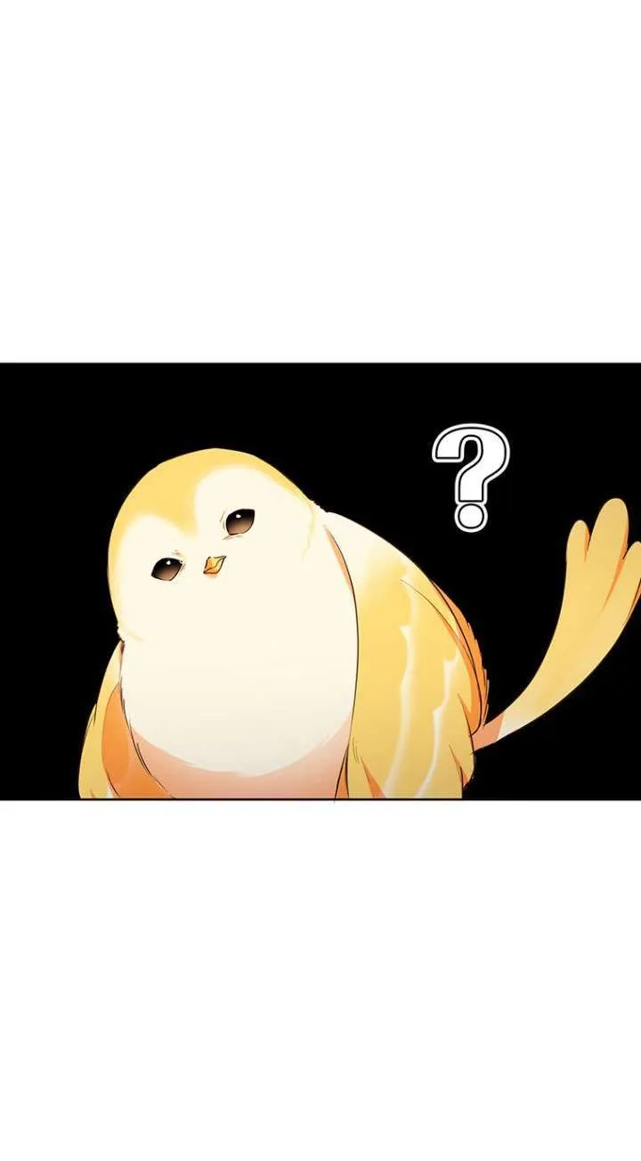 第03话 第52页