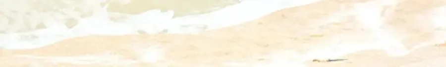 21-监狱的访客 第19页