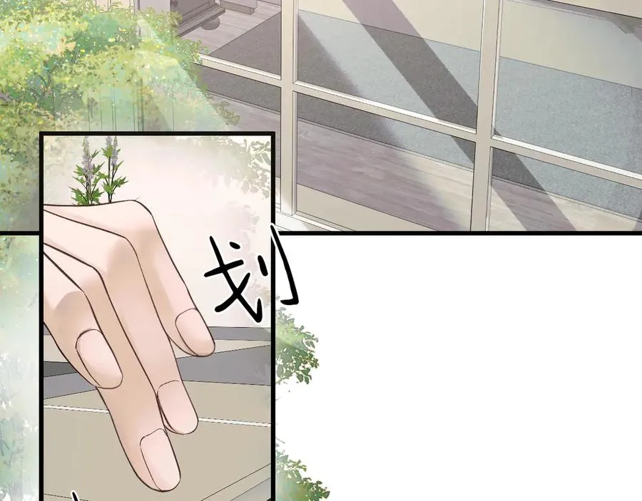 22-蛛茧引线 第2页