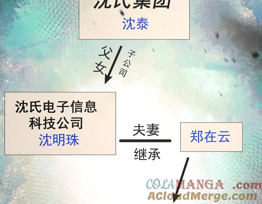 22-蛛茧引线 第13页