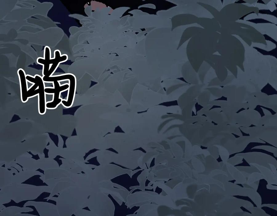 37-荧幕上下 第151页