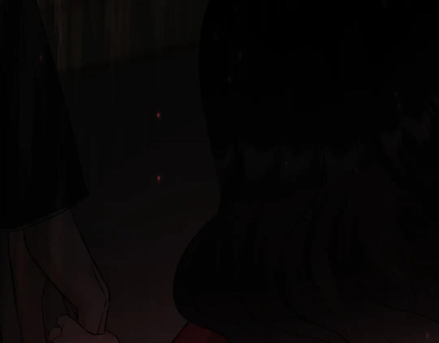 40-白眼狼？ 第2页