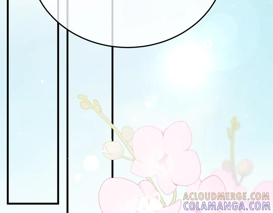 42-我的苹果 第73页