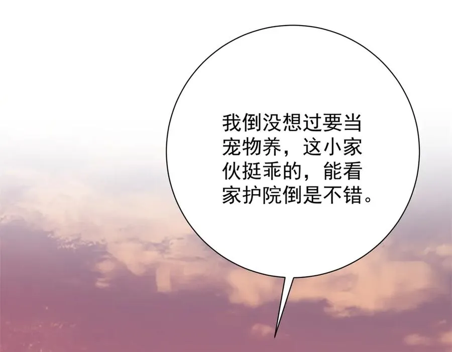第33话 意外的宠物 第4页