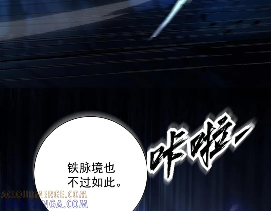 第45话 迈入铁脉境！ 第101页