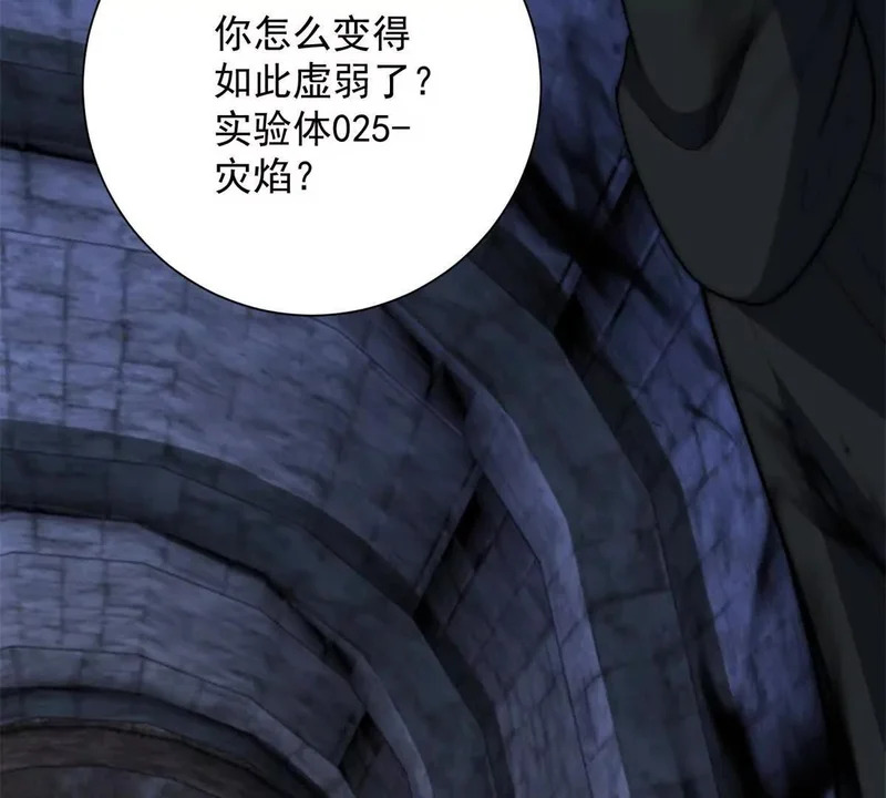 第66话 复活的曙光之神 第26页