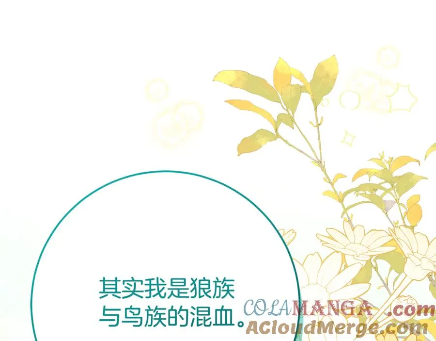 第10话 亲吻手背 第157页