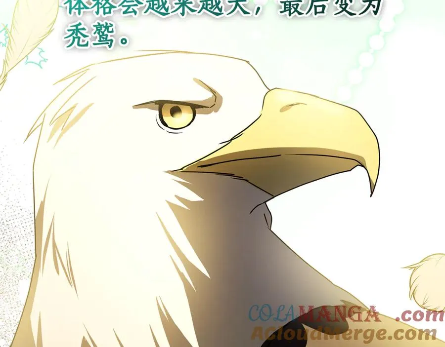 第13话 她到底去哪了？ 第177页