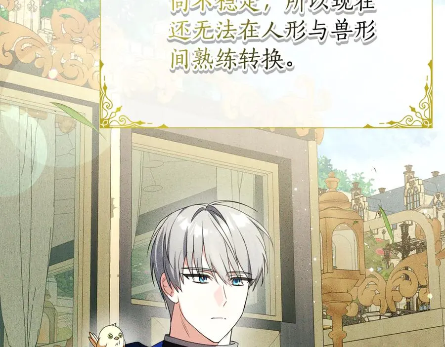 第14话 红色羽毛 第26页