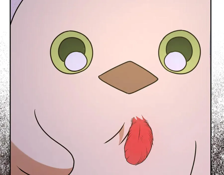 第14话 红色羽毛 第128页