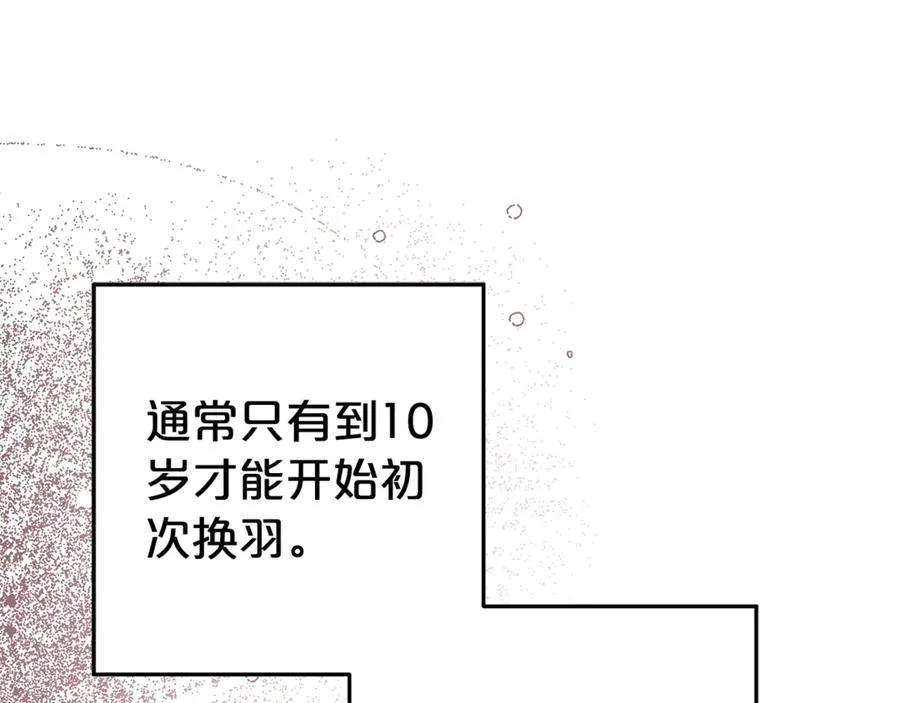 第14话 红色羽毛 第138页