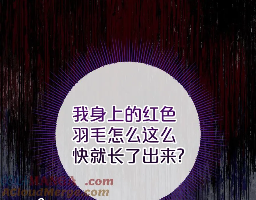 第14话 红色羽毛 第145页