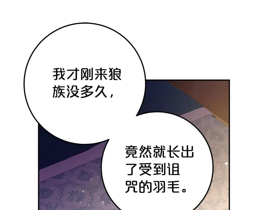 第14话 红色羽毛 第163页