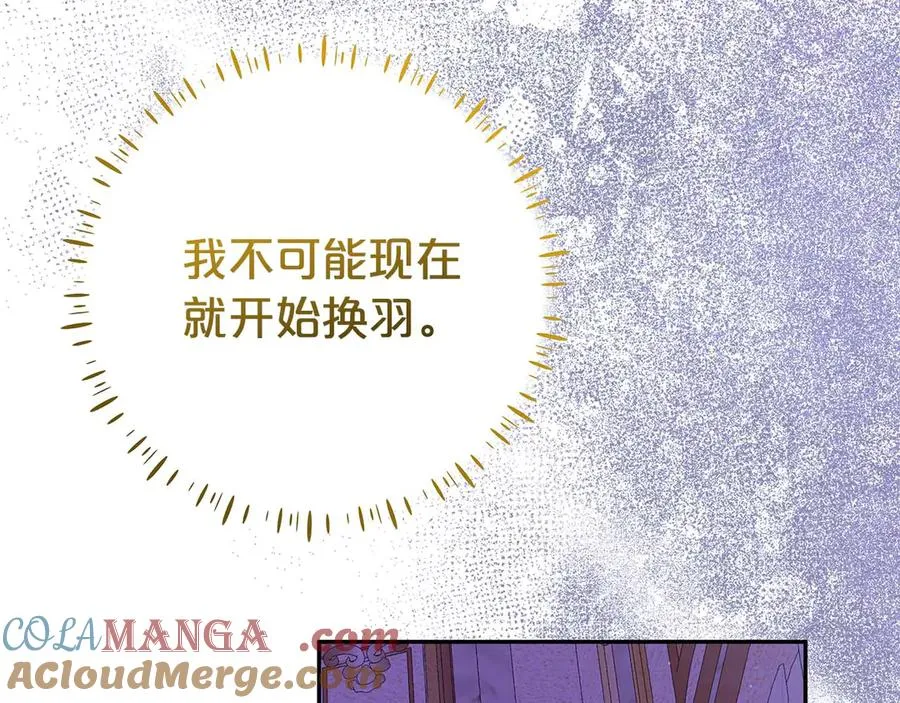 第14话 红色羽毛 第205页