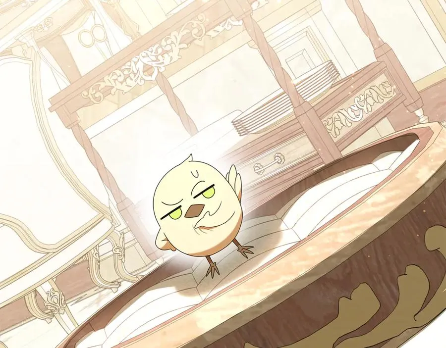 第16话 要被送回鸟家？ 第48页