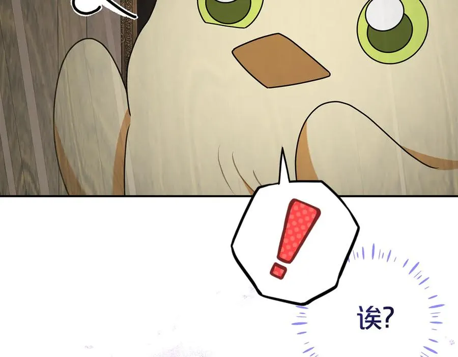 第16话 要被送回鸟家？ 第99页