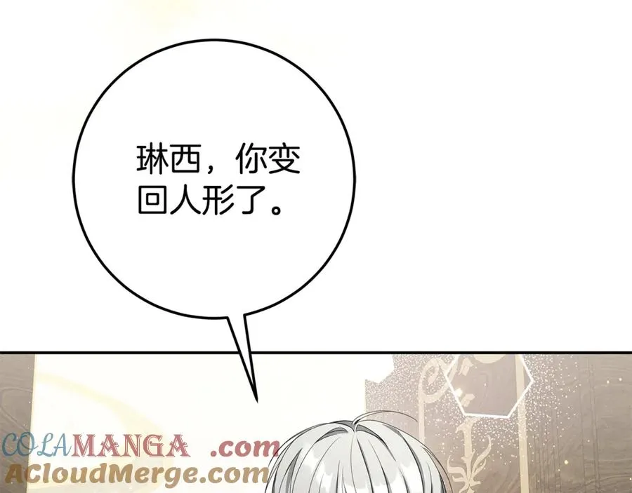 第17话 备受宠爱 第5页