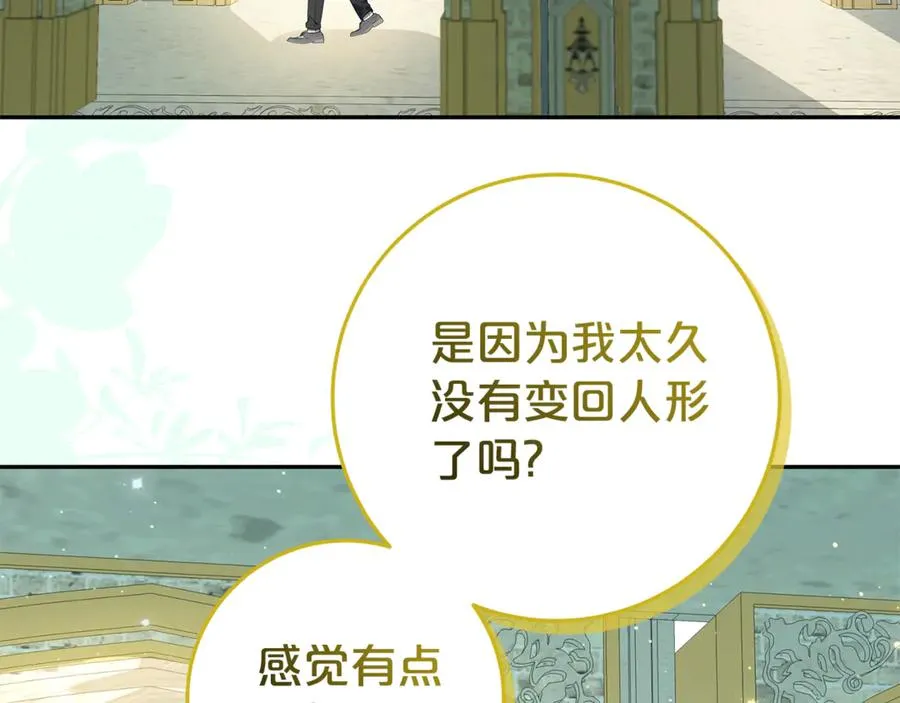 第17话 备受宠爱 第106页