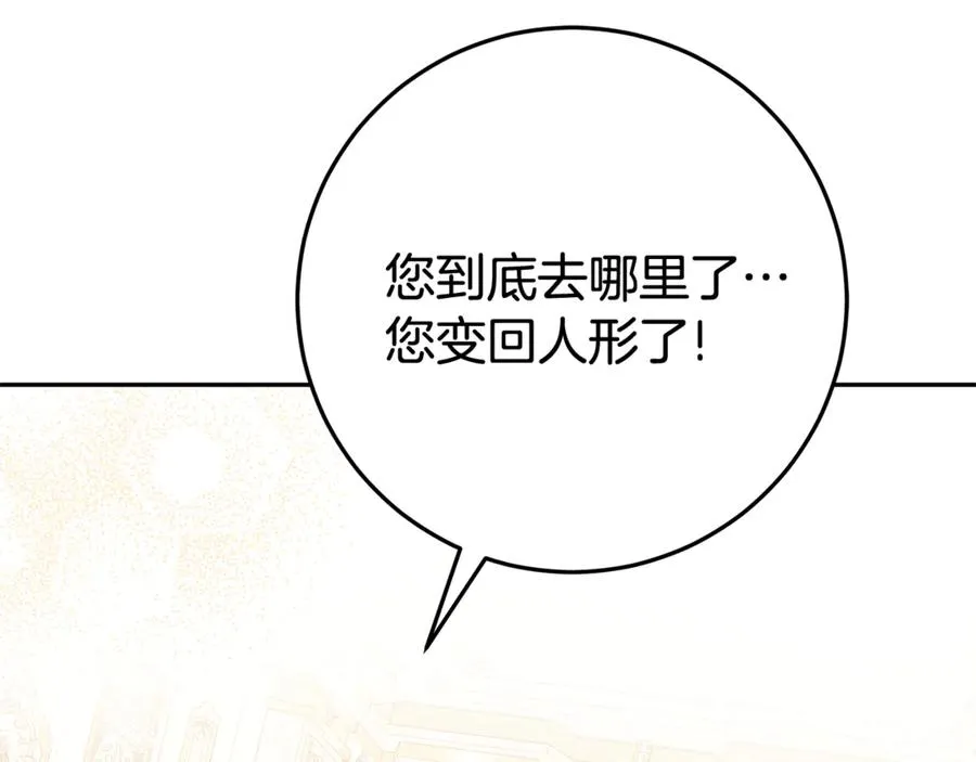 第17话 备受宠爱 第143页
