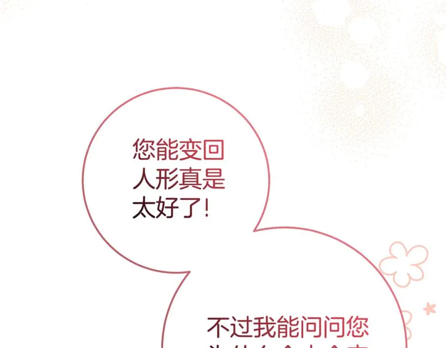 第17话 备受宠爱 第164页