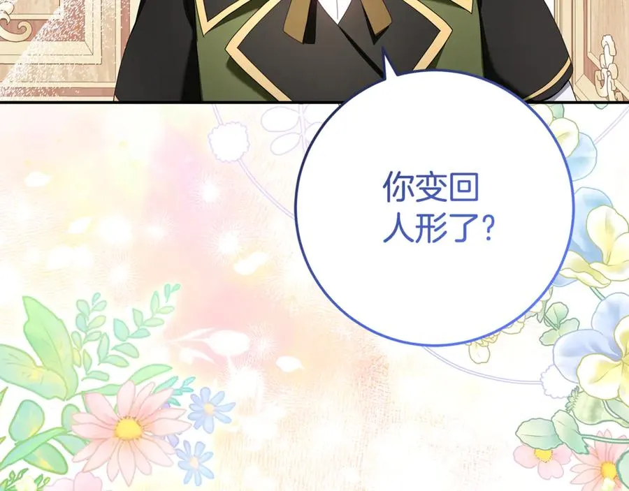 第18话 你太丑了！ 第3页