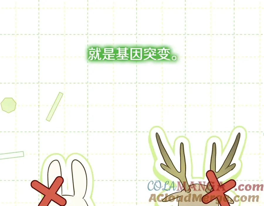第35话 神秘的小女孩 第117页