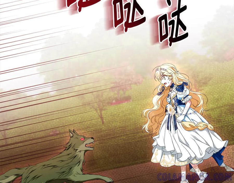 第42话 可怕的狼 第13页