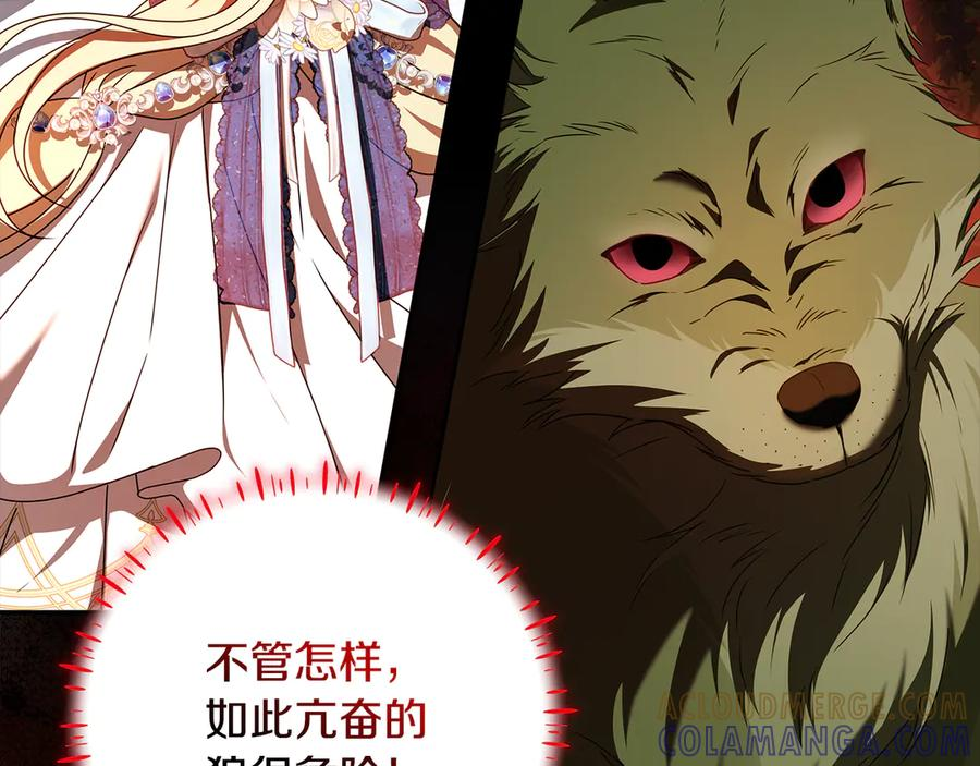 第42话 可怕的狼 第17页