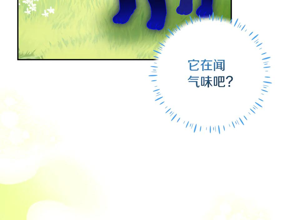 第43话 小姐飞走了 第123页