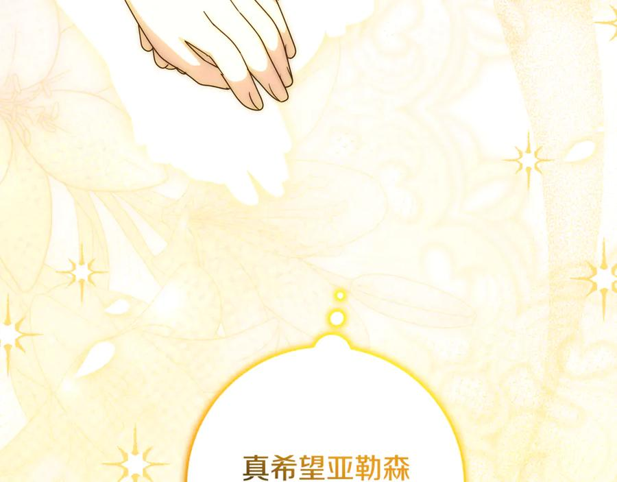 第48话 项链礼物 第211页