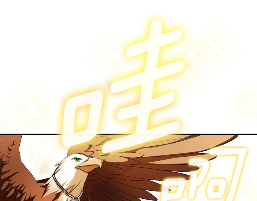 第49话 热闹的庆典 第171页