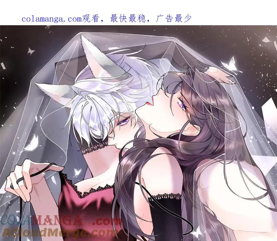 03 我只是按规矩办事 第1页