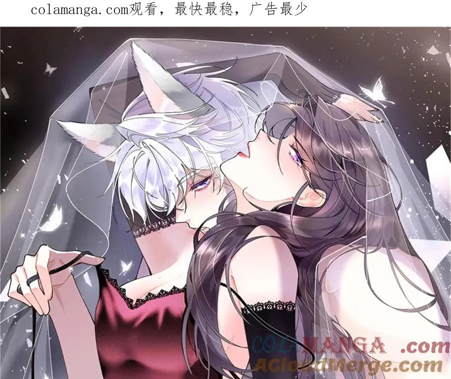 26 你是我的妻子 第1页