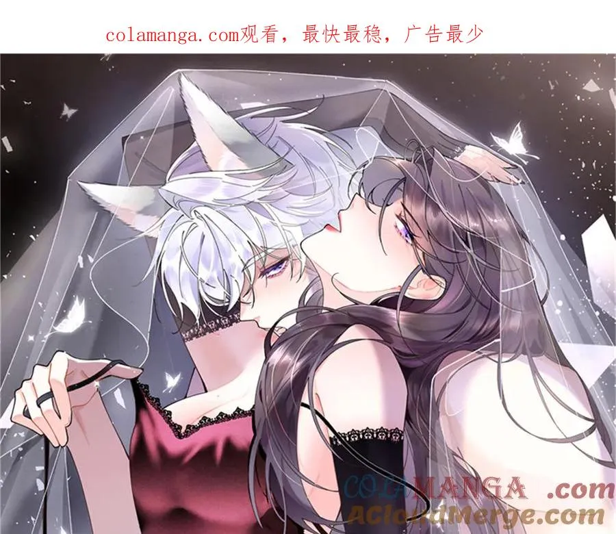 31 是食神！ 第1页