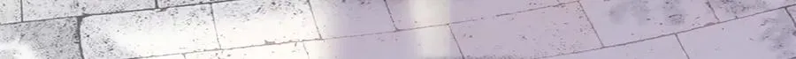 32 没完了是吧 第53页