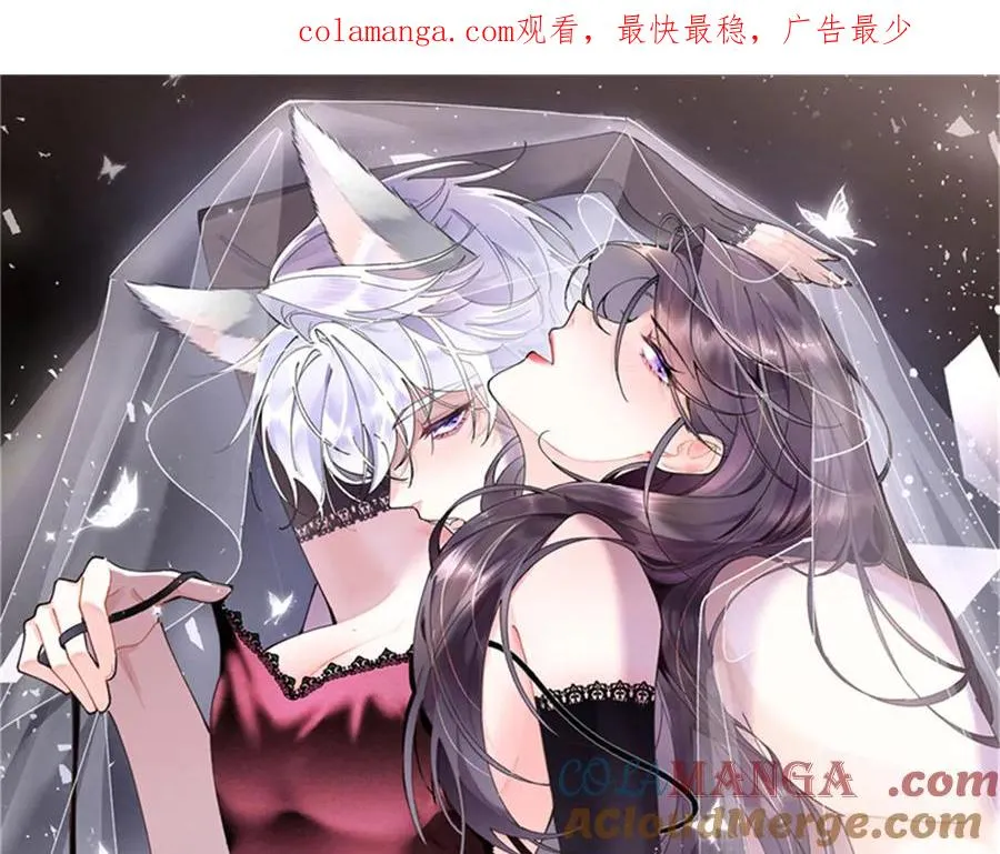 35 狐狸？狼？还是狗狗？ 第1页