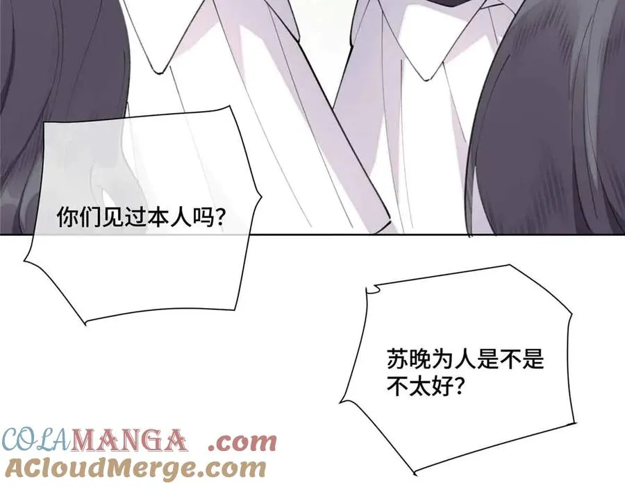 35 狐狸？狼？还是狗狗？ 第31页