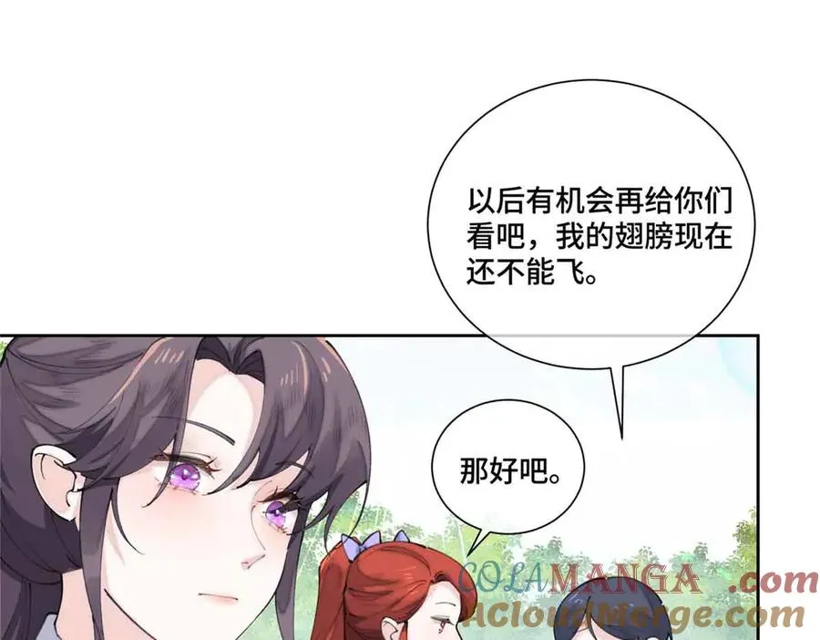 35 狐狸？狼？还是狗狗？ 第61页